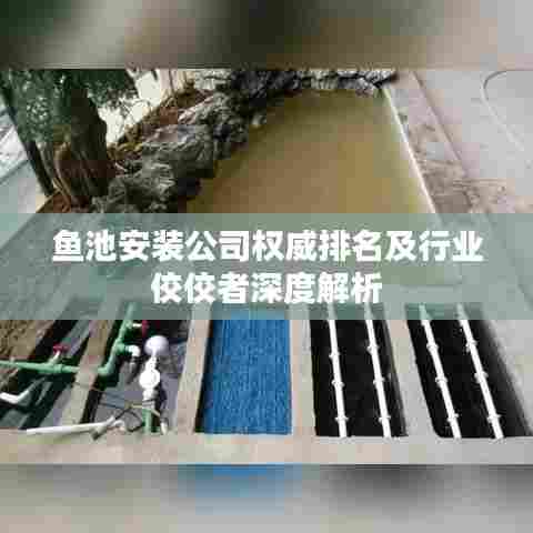 鱼池安装公司权威排名及行业佼佼者深度解析