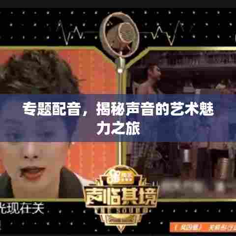 专题配音，揭秘声音的艺术魅力之旅