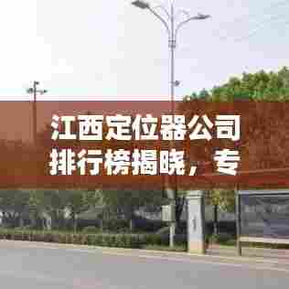 江西定位器公司排行榜揭晓，专业实力一览无余！