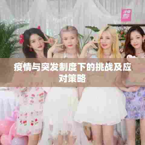 疫情与突发制度下的挑战及应对策略