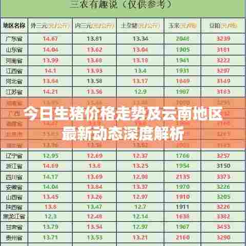 今日生猪价格走势及云南地区最新动态深度解析