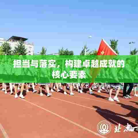 担当与落实，构建卓越成就的核心要素