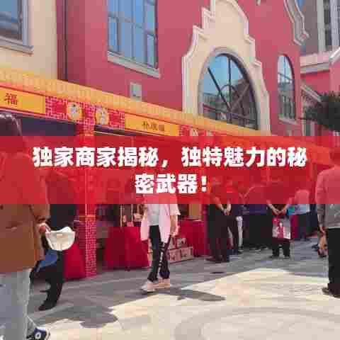 独家商家揭秘，独特魅力的秘密武器！