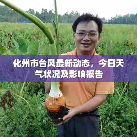 化州市台风最新动态，今日天气状况及影响报告