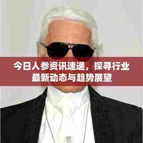 今日人参资讯速递，探寻行业最新动态与趋势展望