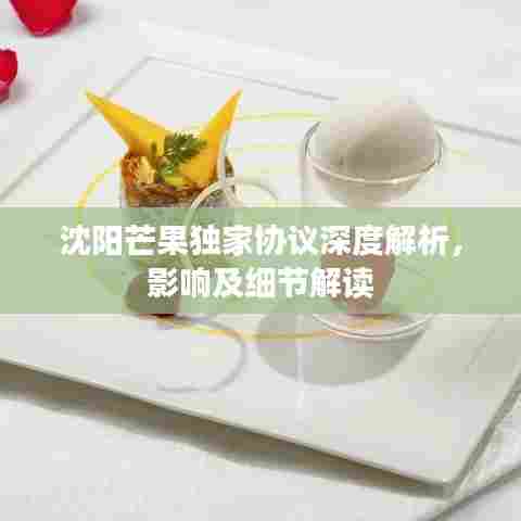 沈阳芒果独家协议深度解析，影响及细节解读