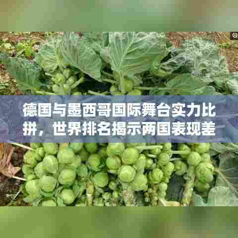 德国与墨西哥国际舞台实力比拼，世界排名揭示两国表现差异