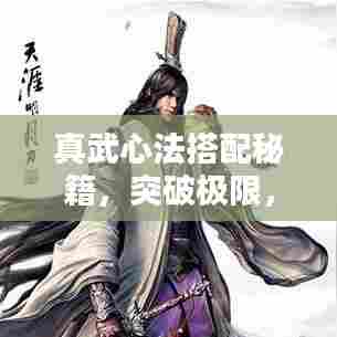 真武心法搭配秘籍，突破极限，战力飙升的终极攻略！