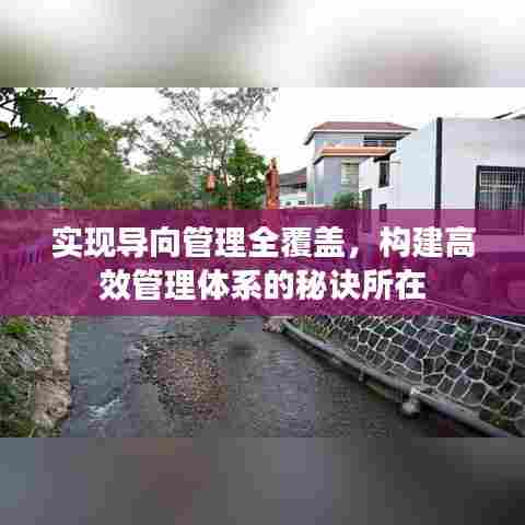 实现导向管理全覆盖，构建高效管理体系的秘诀所在