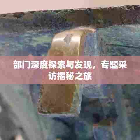部门深度探索与发现，专题采访揭秘之旅