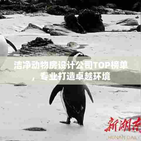 洁净动物房设计公司TOP榜单，专业打造卓越环境