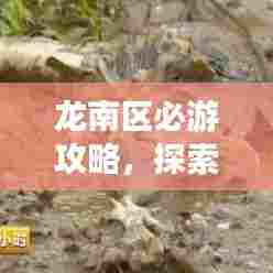 秀外慧中 第4页