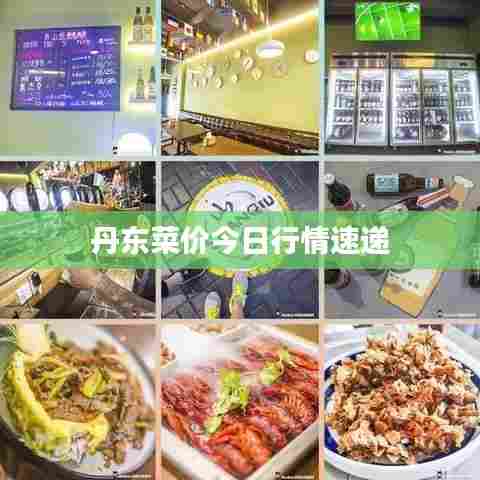 丹东菜价今日行情速递