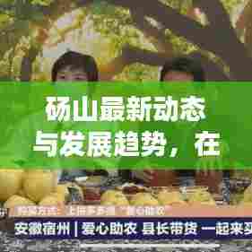 砀山最新动态与发展趋势，在线新闻头条速递