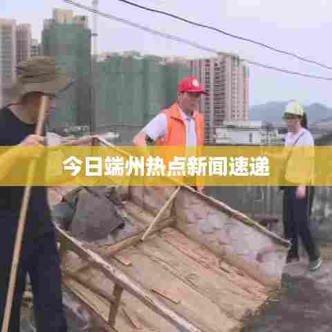 今日端州热点新闻速递