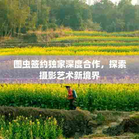 图虫签约独家深度合作，探索摄影艺术新境界