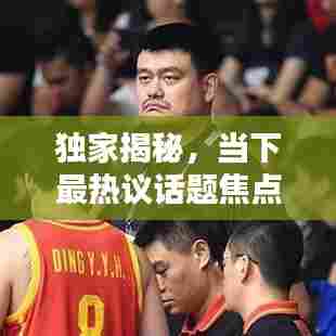 独家揭秘，当下最热议话题焦点热报速递