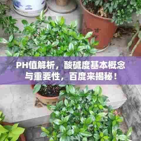 PH值解析，酸碱度基本概念与重要性，百度来揭秘！