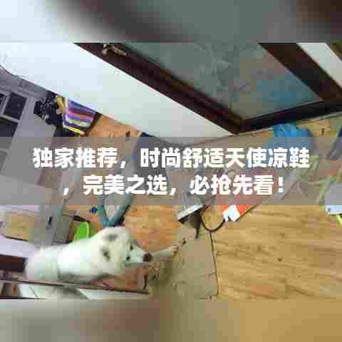 独家推荐，时尚舒适天使凉鞋，完美之选，必抢先看！