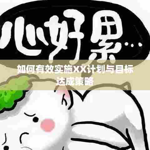 如何有效实施XX计划与目标达成策略