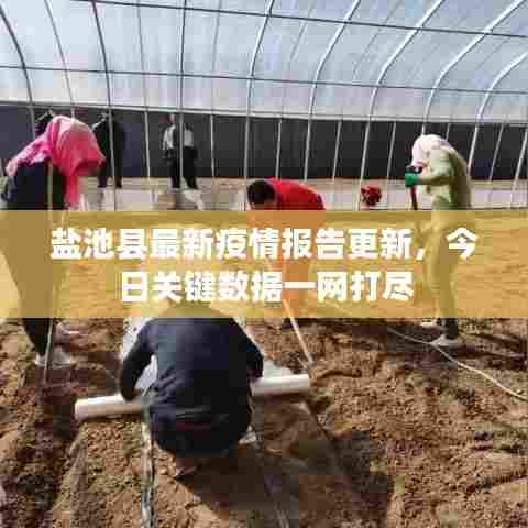 盐池县最新疫情报告更新，今日关键数据一网打尽