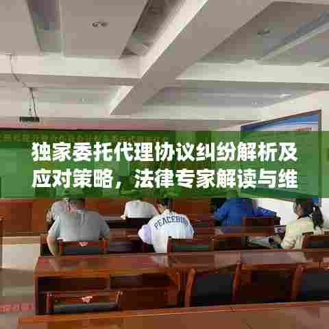 独家委托代理协议纠纷解析及应对策略，法律专家解读与维权指南
