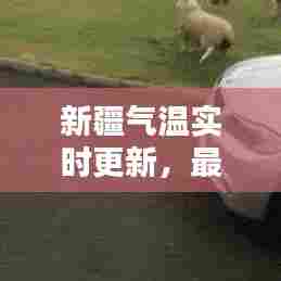 新疆气温实时更新，最新消息全掌握