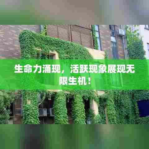 生命力涌现，活跃现象展现无限生机！