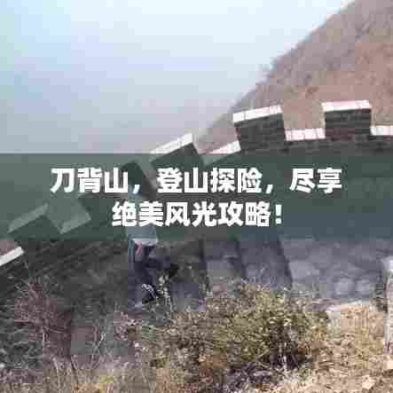 刀背山，登山探险，尽享绝美风光攻略！