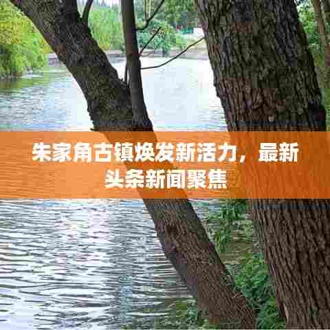 朱家角古镇焕发新活力，最新头条新闻聚焦