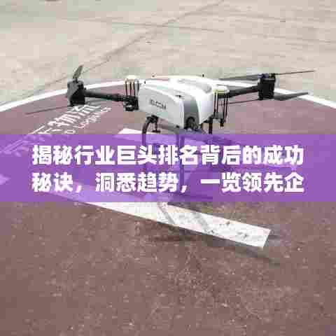 揭秘行业巨头排名背后的成功秘诀，洞悉趋势，一览领先企业风采