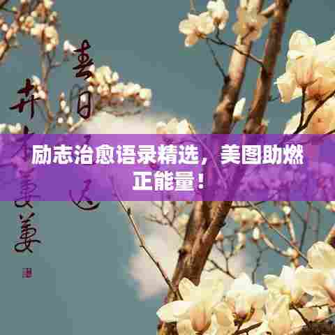 励志治愈语录精选，美图助燃正能量！