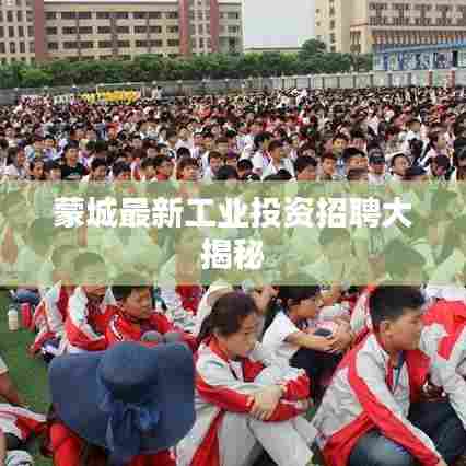 蒙城最新工业投资招聘大揭秘