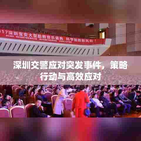 深圳交警应对突发事件，策略行动与高效应对