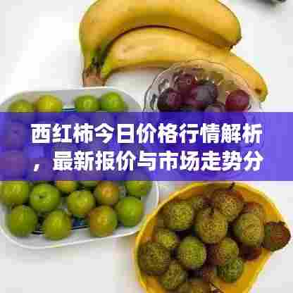 西红柿今日价格行情解析，最新报价与市场走势分析