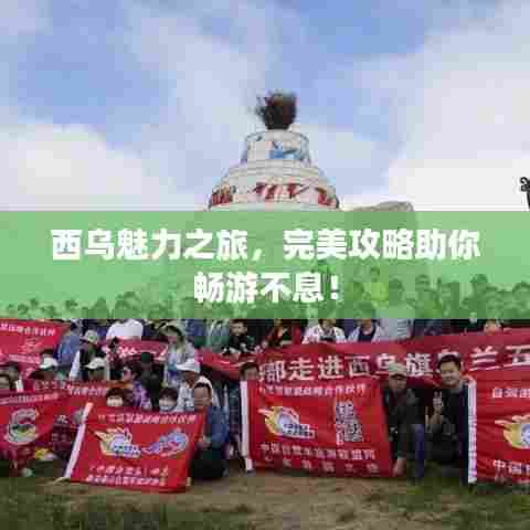 西乌魅力之旅，完美攻略助你畅游不息！