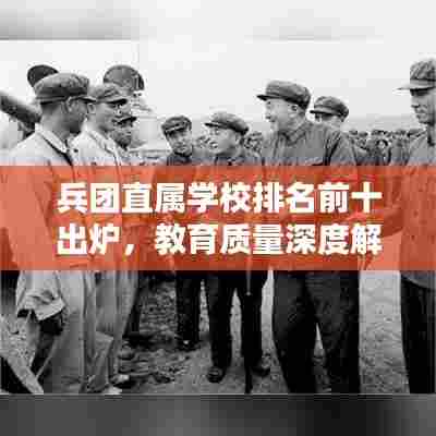 兵团直属学校排名前十出炉，教育质量深度解析！