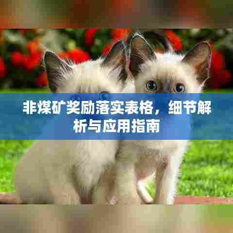 非煤矿奖励落实表格，细节解析与应用指南