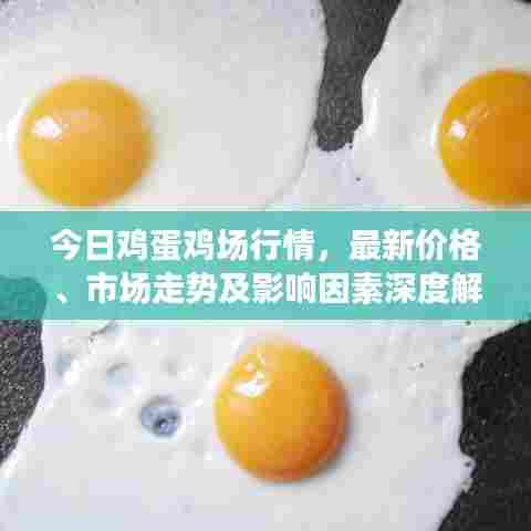 今日鸡蛋鸡场行情，最新价格、市场走势及影响因素深度解析