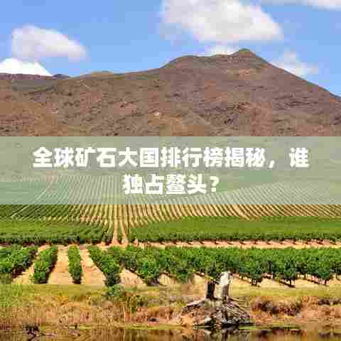 全球矿石大国排行榜揭秘，谁独占鳌头？