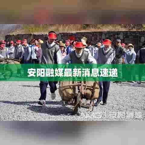 安阳融媒最新消息速递