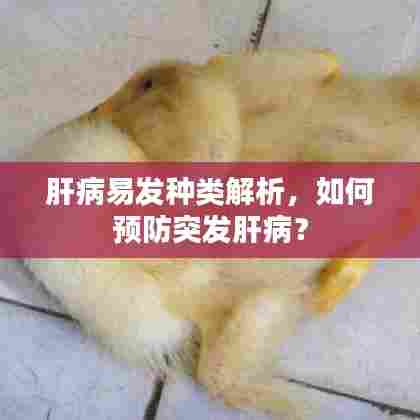 肝病易发种类解析，如何预防突发肝病？