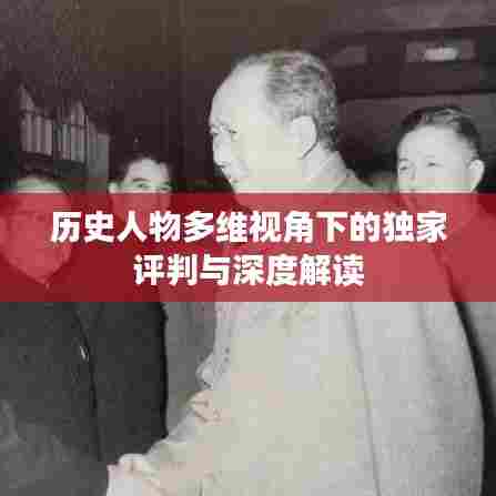 历史人物多维视角下的独家评判与深度解读