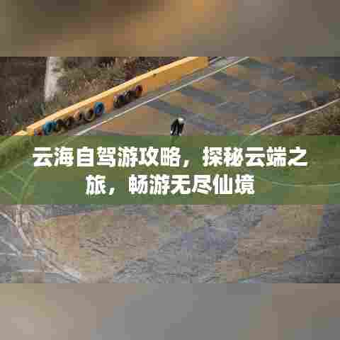 云海自驾游攻略，探秘云端之旅，畅游无尽仙境