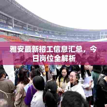 雅安最新招工信息汇总，今日岗位全解析