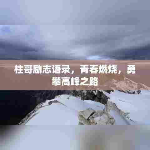 管道配件 第88页