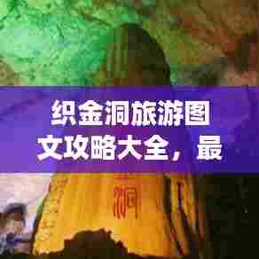 吉光片羽 第5页