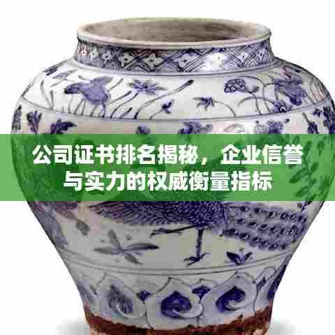 公司证书排名揭秘，企业信誉与实力的权威衡量指标