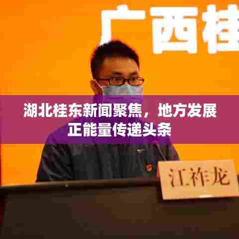 湖北桂东新闻聚焦，地方发展正能量传递头条