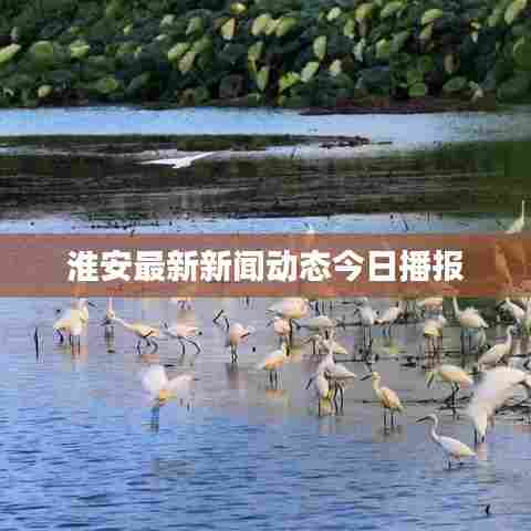 淮安最新新闻动态今日播报